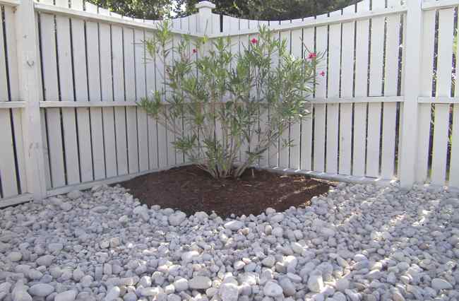 River Rock landscape No Maintenance Pool Area