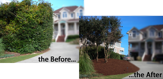 beforeafter landscaping