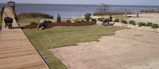 landscape installation stage 3 Plant and sod installation