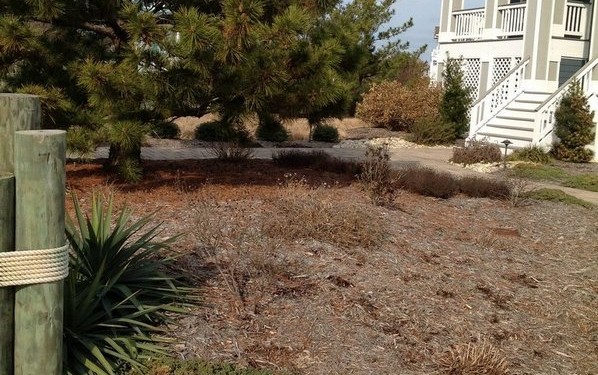 corolla-landscaping-before-2