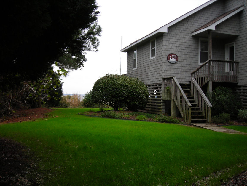 winter-lawn-growth-corolla-nc-2